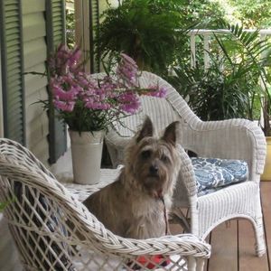 Meet your Posher, Diane